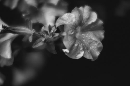 DSC_1143